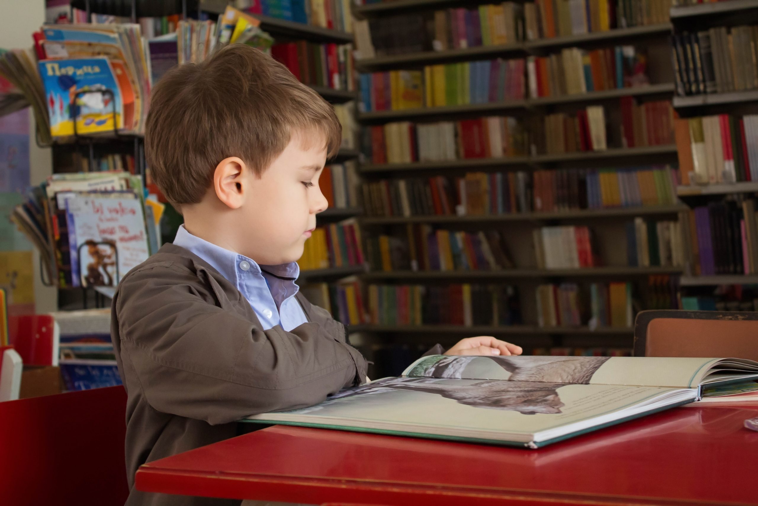 INSET : Raising Achievement in Primary Literacy & Reading